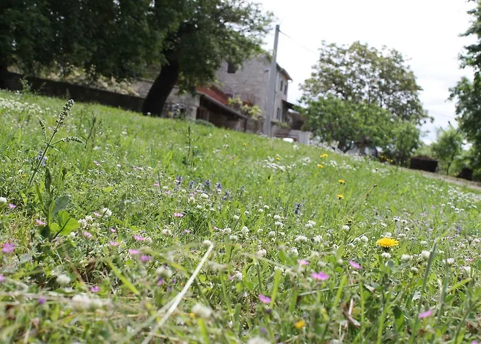 公寓 Mestri Grožnjan