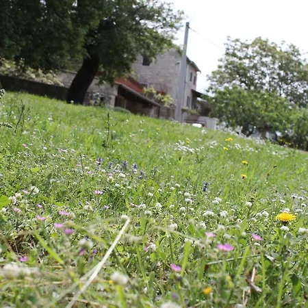 Apartment Mestri Groznjan