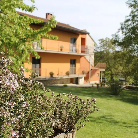 Mestri Apartment Groznjan