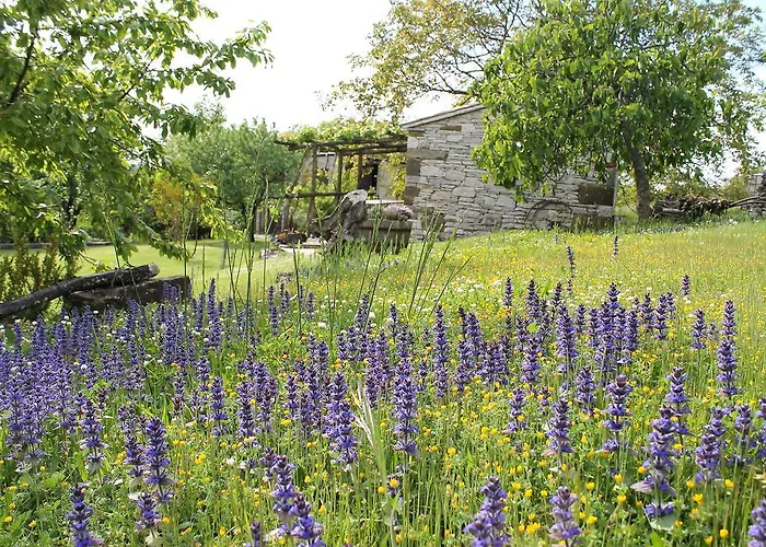 Appartement Mestri *